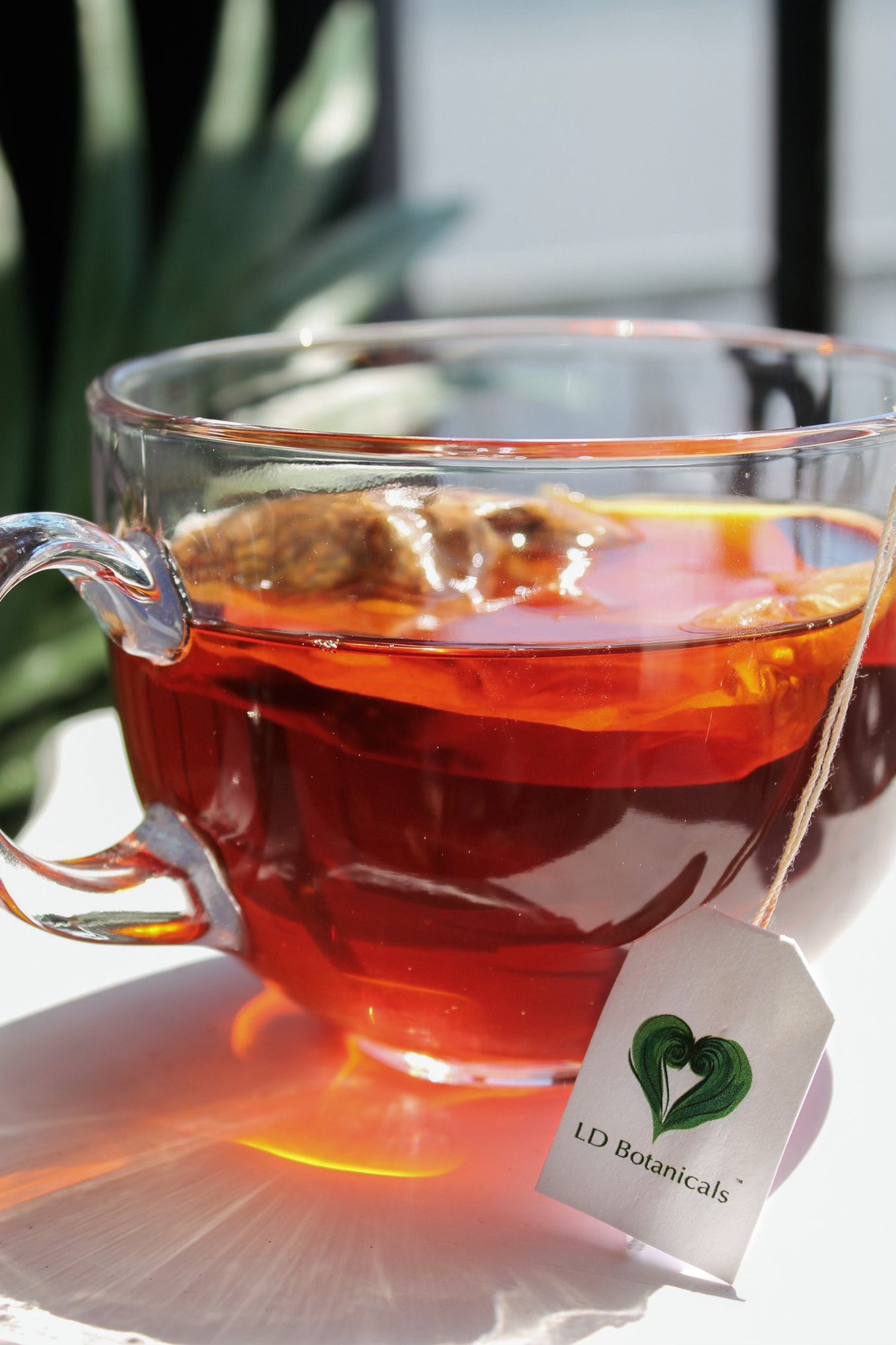 Tea Collection – LD Botanicals